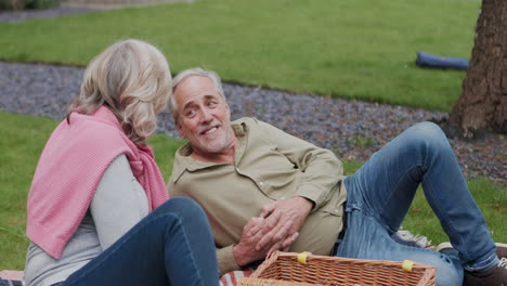 couple having picnic on lawn