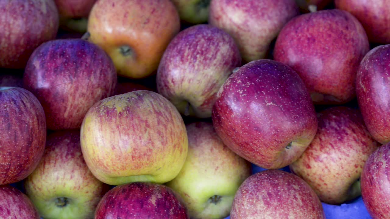 자유시장에서 파는 사과 파노라마 플랜