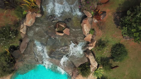 top down aerial shot of swimming pool at resort in middle of jungle in brazil