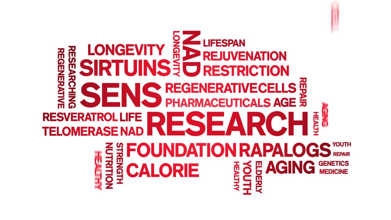 Sens Research Animated Tag Word Cloud,Text Design Animation seamless loop.