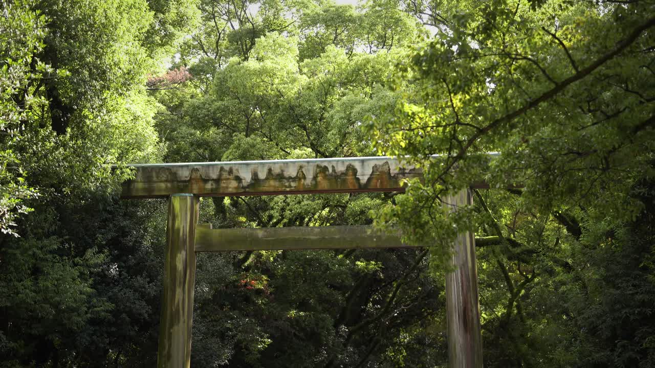 The Torii Gates of Astuta Jingu Shrine Blending in With Nature