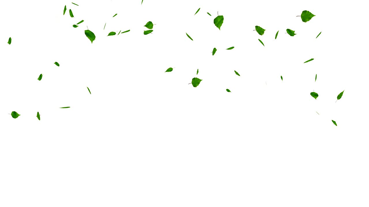 녹색 잎 폭발은 색에 분리되어 있고, 매트색입니다.