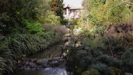 arroyo pacífico y cascada bajo un puente a un templo chino en un jardín botánico pacífico