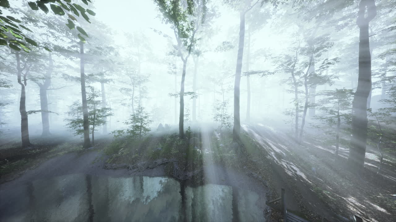 해가 지는 가을의 숲을 통해 fpv 드론 비행이 빠르고 기동적입니다.