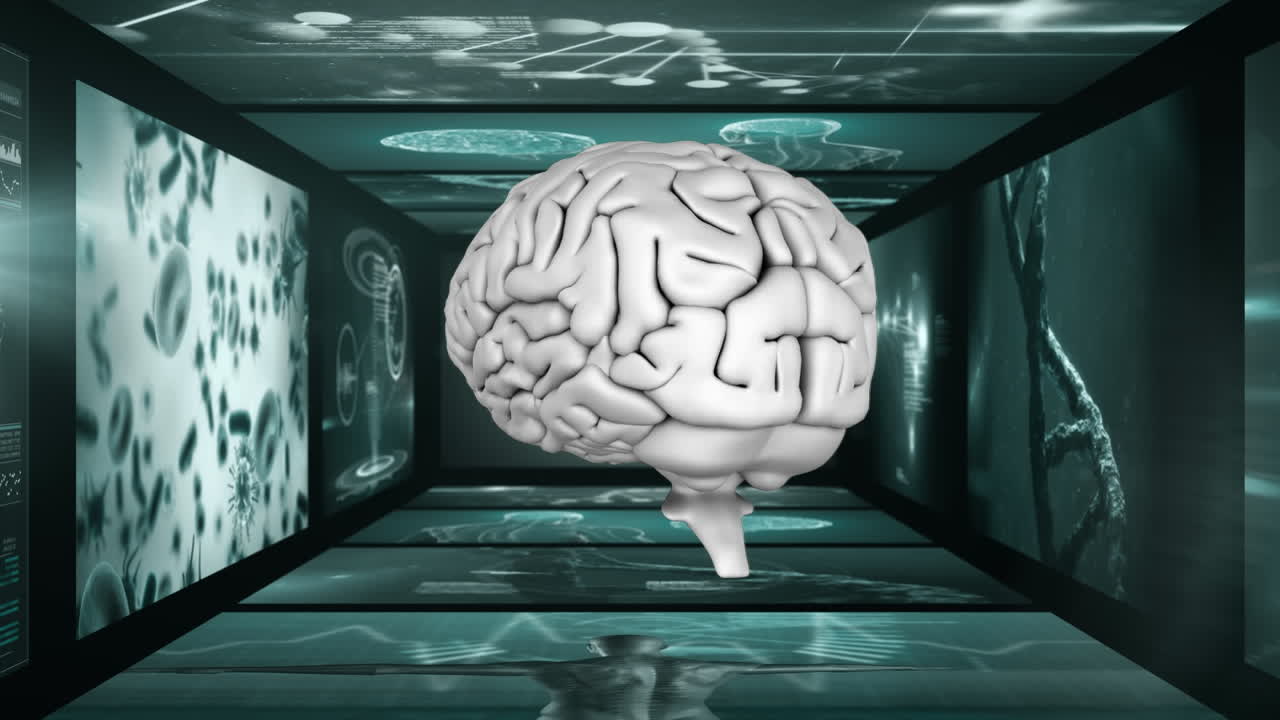 animación del cerebro humano girando sobre pantallas con procesamiento de datos científicos