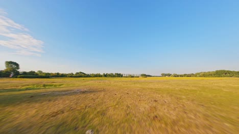 Spannender-FPV-Drohnenflug-Zwischen-Bäumen