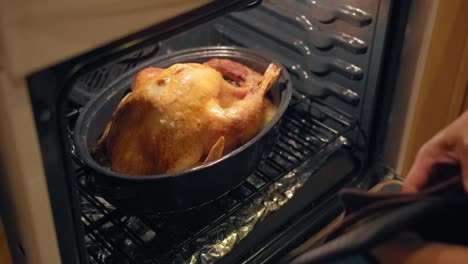 removing a cooked thanksgiving turkey from the oven and placing it on stove in slow motion 4k