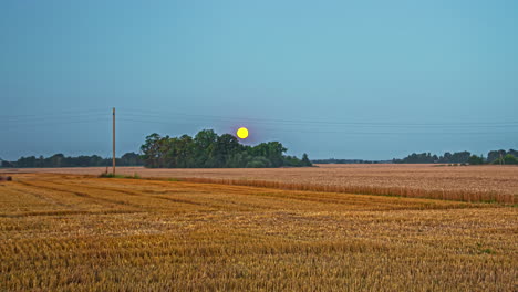 Landscape-of-sun-setting-on-horizon-in-grain-field---timelapse