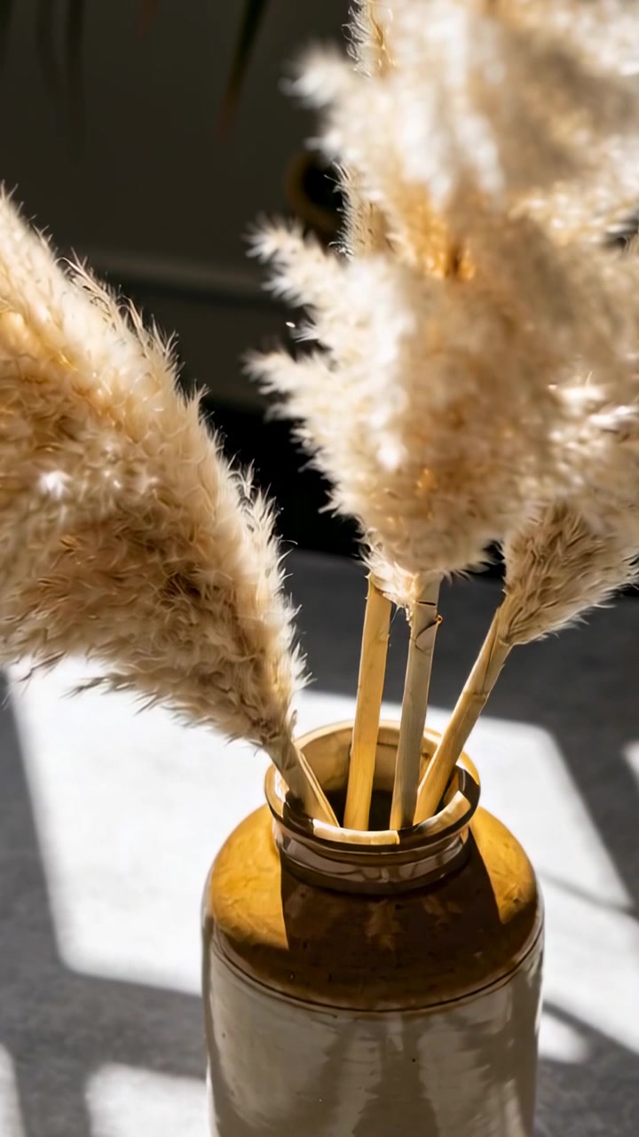 Vidéo verticale : Caméra en mouvement s'inclinant vers un vase avec des herbes de la pampa près d'une tache de soleil, montrant la texture.