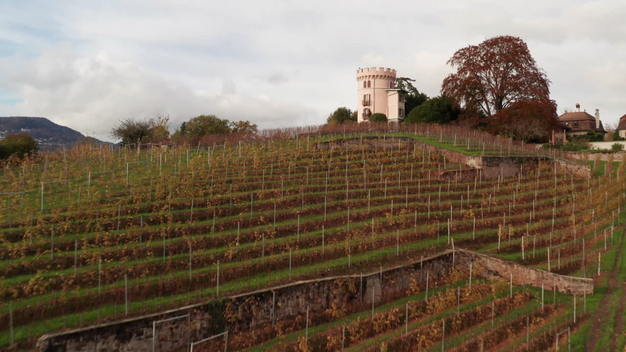 volando sobre un pequeño viñedo y revelando una ciudad suiza