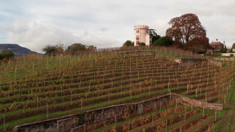 flying over small vineyard and revealing swiss town