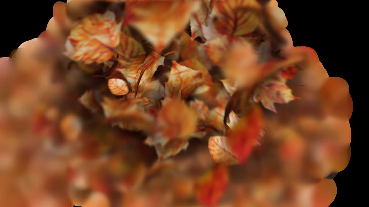 Autumn Leaves Transition or Reveal Element with Alpha Channel