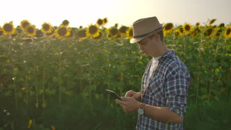 Ein-Junger-Bauer-Geht-An-Einem-Sommertag-über-Ein-Sonnenblumenfeld-Und-Untersucht-Dessen-Eigenschaften.-Er-Schreibt-Informationen-Auf-Sein-IPad.