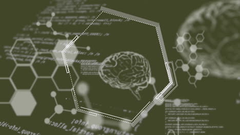 animation of scientific data processing and human brains