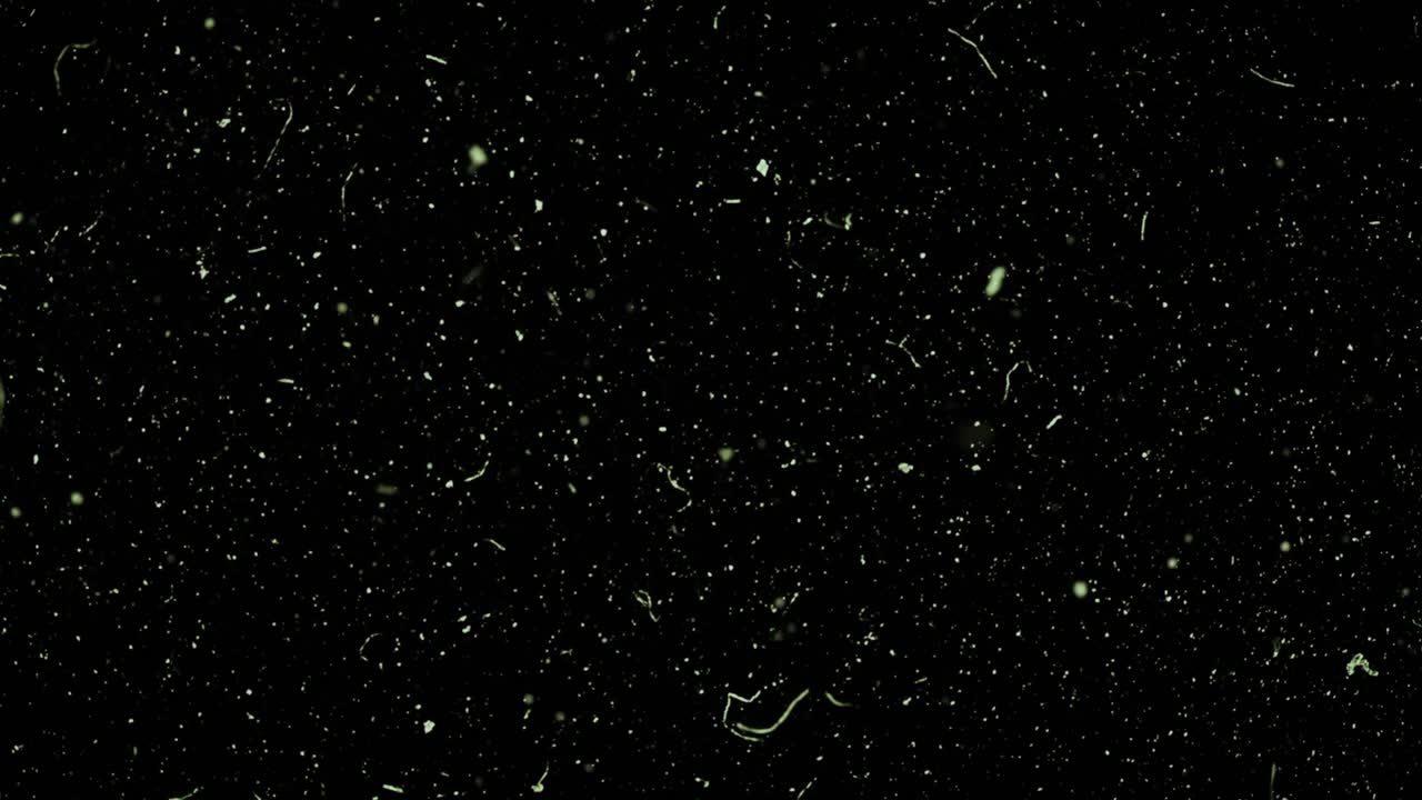 검은 바탕에 먼지와 곡물