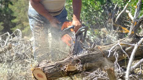 cutting wood chainsaw