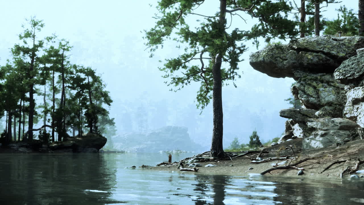 Scena serena del fiume della foresta