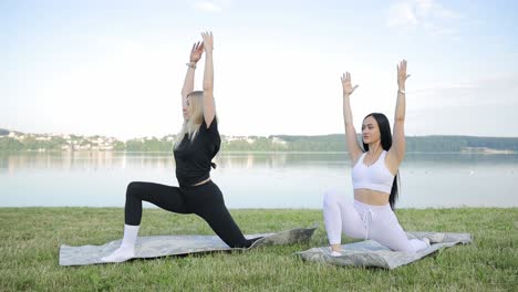 two young asian women doing stretching exercise on a fresh air in a forest meadow two young asian women doing stretching exercise on a fresh air in a forest meadow healthy lifestyle fresh air training workout outdoors