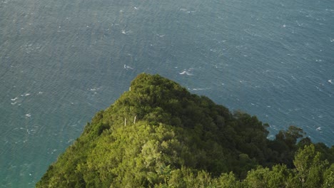 Laurisilva forest. This type of forest contain a unique suite of plants and animals, including many endemic species and its confined to the Madeira, Azores and the Canary Islands.