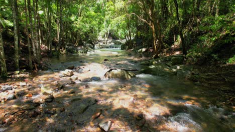 Clear-Stream-River-Flowing-In-The-Forest,-Currumbin-Valley,-Gold-Coast,-QLD,-Australia---Drone-Shot