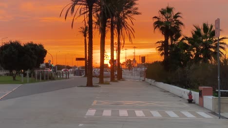 Silueta-De-Palmeras-En-Un-Estacionamiento-Vacío-En-La-Carretera-Del-Pueblo,-Lisboa,-Portugal