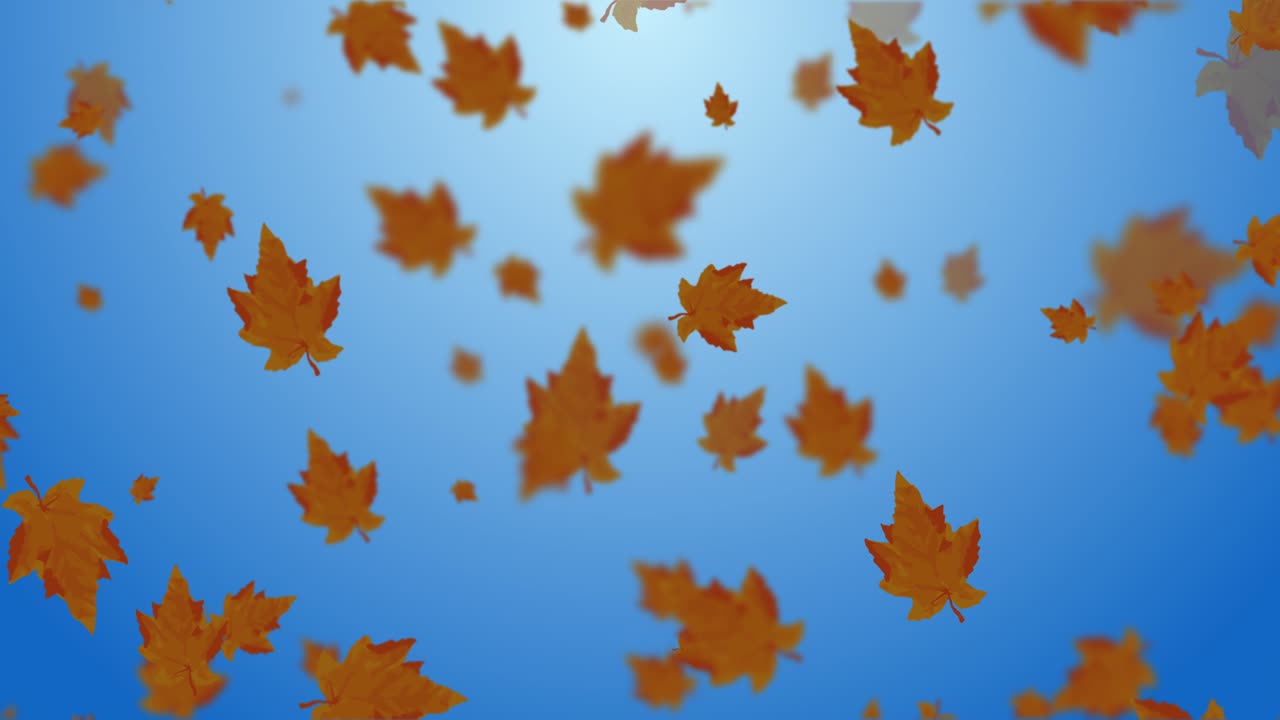 떨어지는 잎의 애니메이션 루프 가을