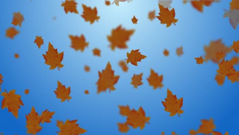 animation of falling leaves loop autumn