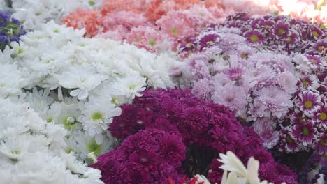 colorful chrysanthemum flower bouquets