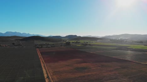 aerial drone shot of a stripped vineyard block between green thriving vineyards