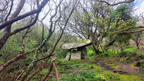 Mystischer-Wald,-Antikes-Denkmal,-Erhalten-In-Der-Zeit,-Ort-Der-Alten-Rituellen-Und-Heiligen-Begräbnisstätte,-Gaulstown-Dolmen,-Waterford,-Irland