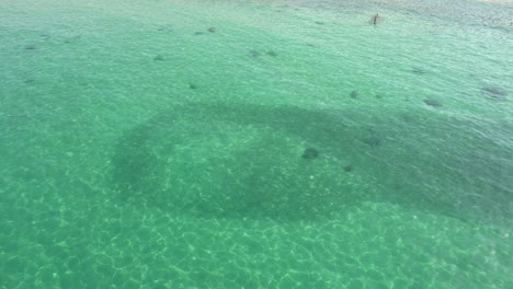 Drone-footage-of-fish-moving-through-bait-in-shallow-green-emerald-waters