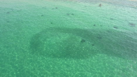 imágenes de drones de peces moviéndose a través del cebo en aguas verde esmeralda poco profundas