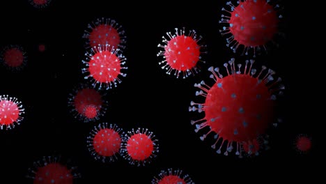 en primer plano, el coronavirus tipo covid-19, h1n1, la gripe aviar o la gripe porcina se mueven suavemente en fluidos. representación 3d del virus como un fondo de bucle microscópico microbiológico. gradiente azul rojo 20