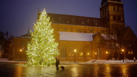 Riga-city-of-Latvia-in-the-month-of-January