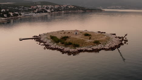 Pequeña-Isla-Cerca-De-La-Costa-En-Medio-Del-Mar,-Iglesia-En-Una-Isla-Desierta,-Agua-Tranquila,-Mar-Adriático-En-Calma,-Temprano-En-La-Mañana,-Amanecer,-Hora-Dorada,-Croacia,-Novi-Vinodolski,-Vacaciones-De-Verano