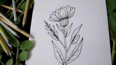 floral line art drawing with colored pencils and leaves