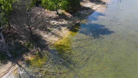 Eine-Starke-Brise-Vom-Ufer-Streichelt-Leichte-Wellen-Und-Blätter