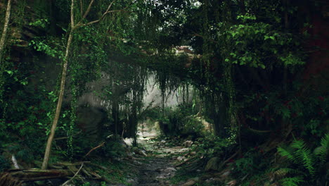 path through a lush, green jungle