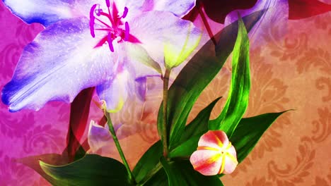papel pintado de flores 04