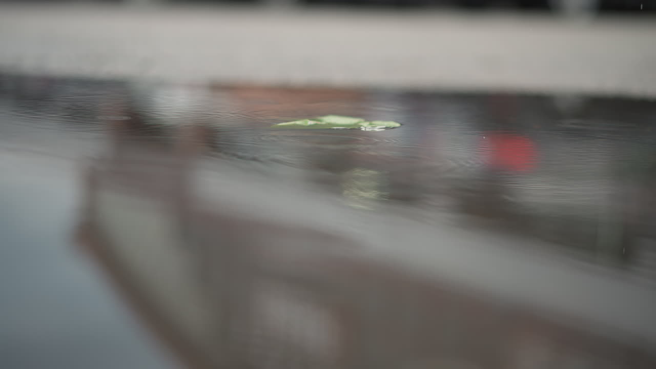 Green leaf floating on wet pavement, cinematic closeup of raindrops and soft bokeh, blurred city bench and distant pedestrians, solitary woman waiting, moody overcast light, gentle ripples
