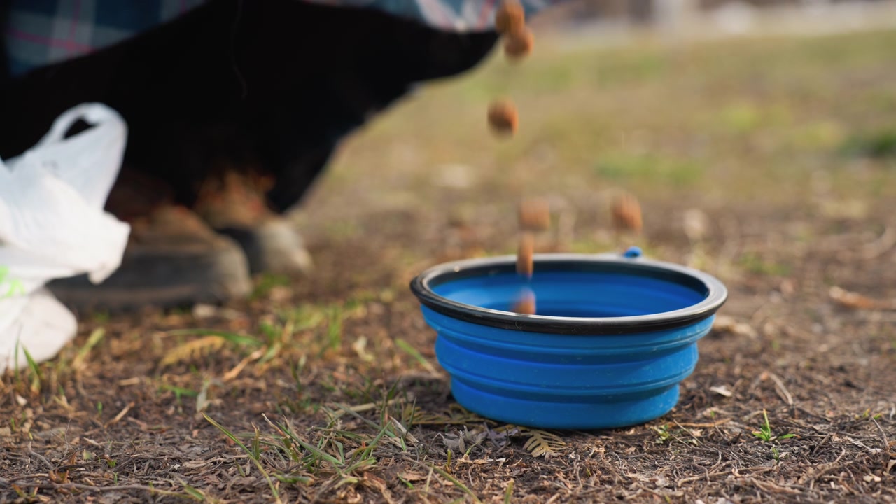 Eine Person füttert Trockenfutter in eine blaue faltbare Haustierschale im Freien auf Gras und Erde. Die Szene zeigt den Fütterungsvorgang mit sichtbaren Händen, Futterpellets in der Luft oder in einem gefüllten Plastikbehälter.