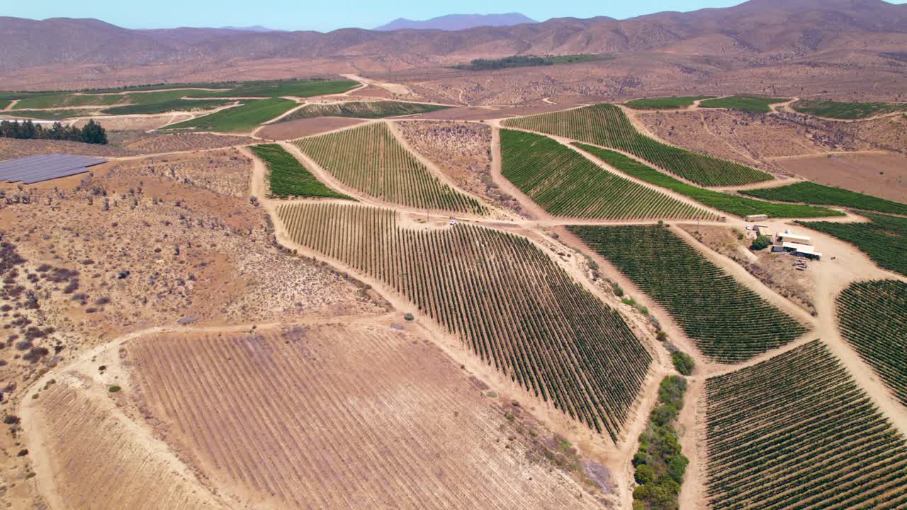 toma aérea giratoria de un pequeño campo solar con un gran viñedo en fray jorge, valle de limari, chile