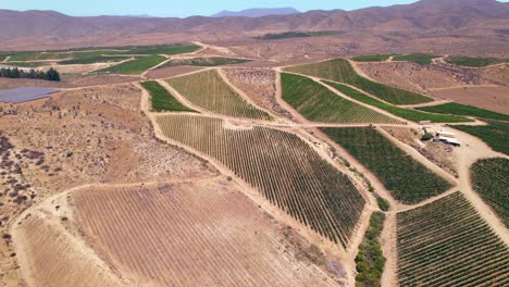 Aerial-rotating-shot-of-a-small-solar-field-with-a-large-vineyard-in-Fray-Jorge,-Limari-Valley,-Chile