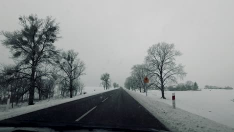 Pov-Vehículo-Conducir-Campo-Mojado-Camino-Invierno-Paisaje-Nieve-Bosque-Desnudo-árboles-Sucio-Ventana-Gopro-Punto-De-Vista-Coche-Viaje-Cielo-Nublado