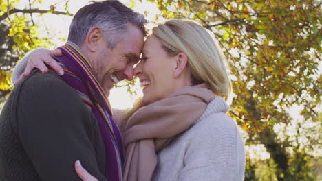 profile shot of loving mature couple hugging in autumn countryside with flaring sun - shot in slow motion