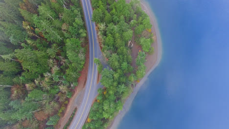 Aerial-Top-Down-Rising-Up-View-of-Waterfront-Road-Along-River-Shoreline-and-Through-Pine-Forest-in-Port-Alberni-Region,-British-Columbia-Canada