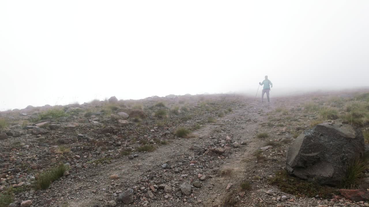 Escursioni nella nebbia