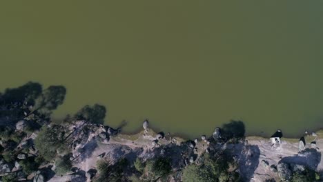 Toma-Aérea-Del-Lago-Arareco-En-La-Región-De-Las-Barrancas-Del-Cobre,-Chihuahua