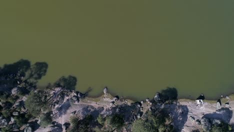 toma aérea del lago arareco en la región de las barrancas del cobre, chihuahua