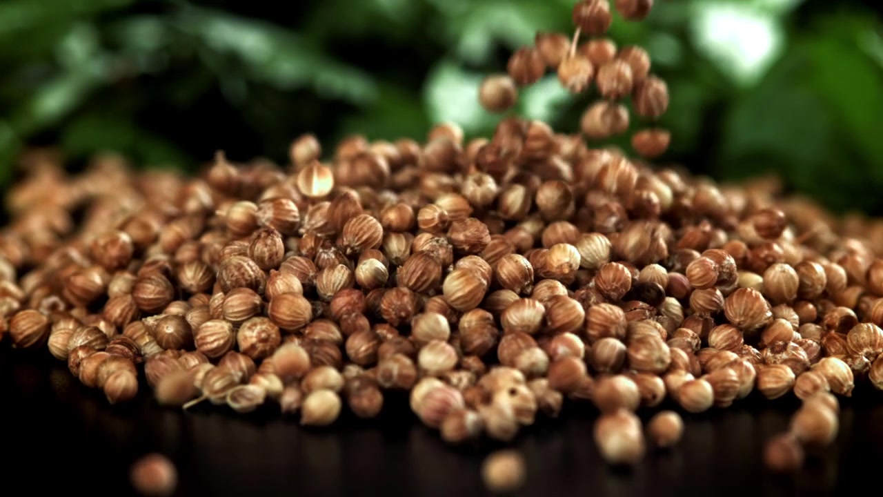 Coriander Seeds Falling onto a Pile in Slow Motion